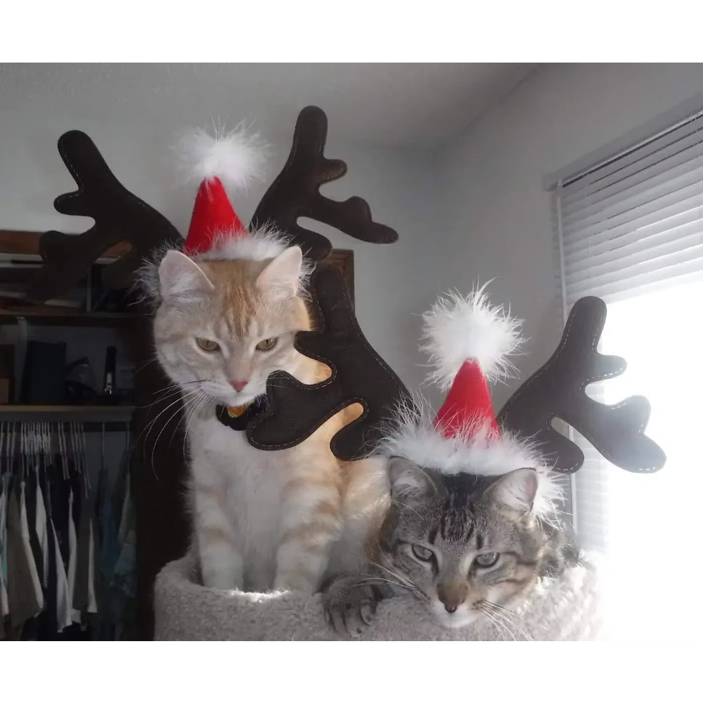 Bando Tanduk Rusa Natal untuk  - Reindeer Antlers Headband ulasan dan harga